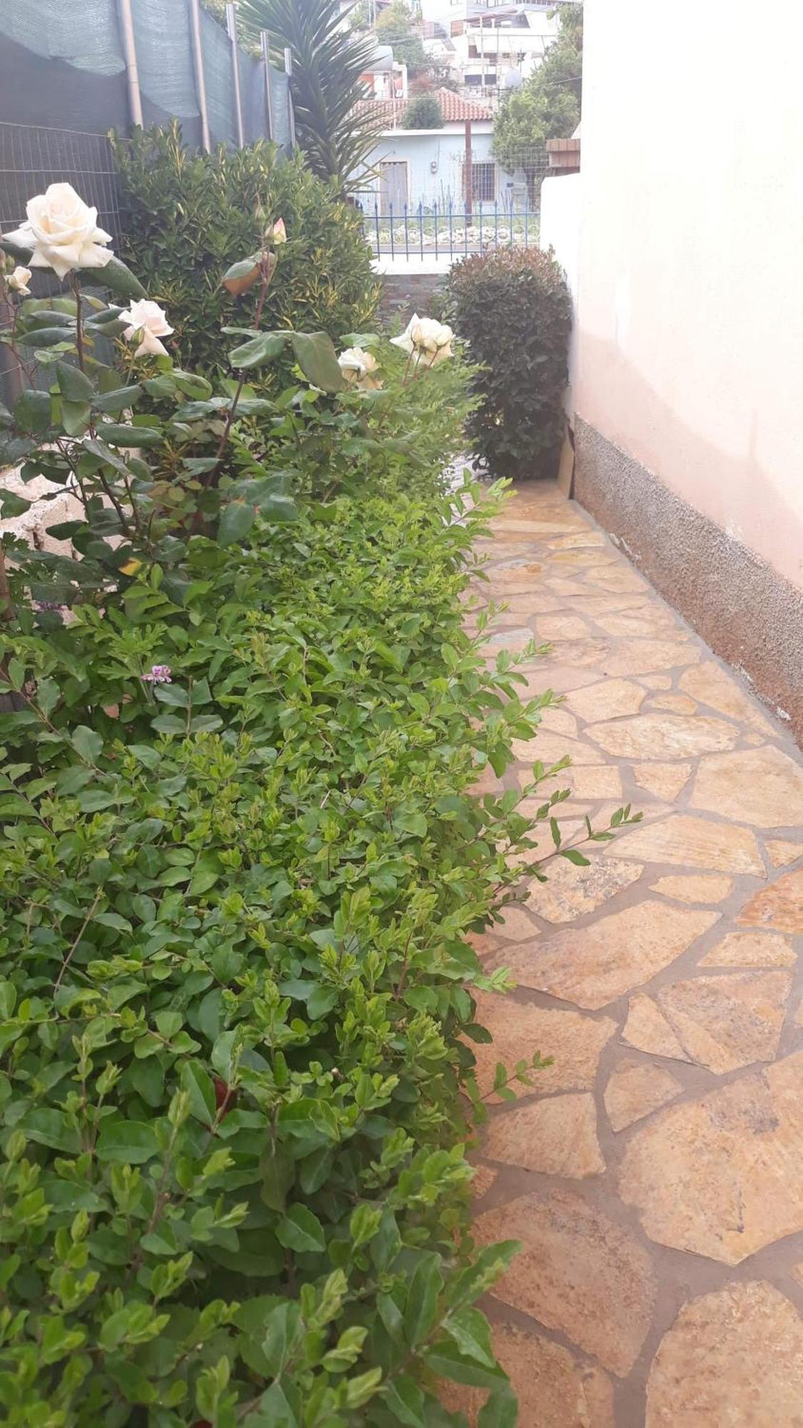 Vila Shuka Ksamil Sarandë Exteriör bild